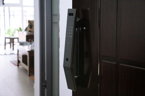 智享安全新體驗(yàn) 華為生態(tài)鏈下的VOC T11 Face人臉識別智能門鎖深度解析